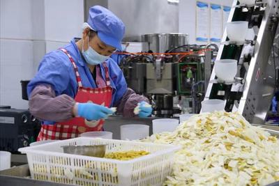 贵州绥阳:绿色食品加工业发展风生水起